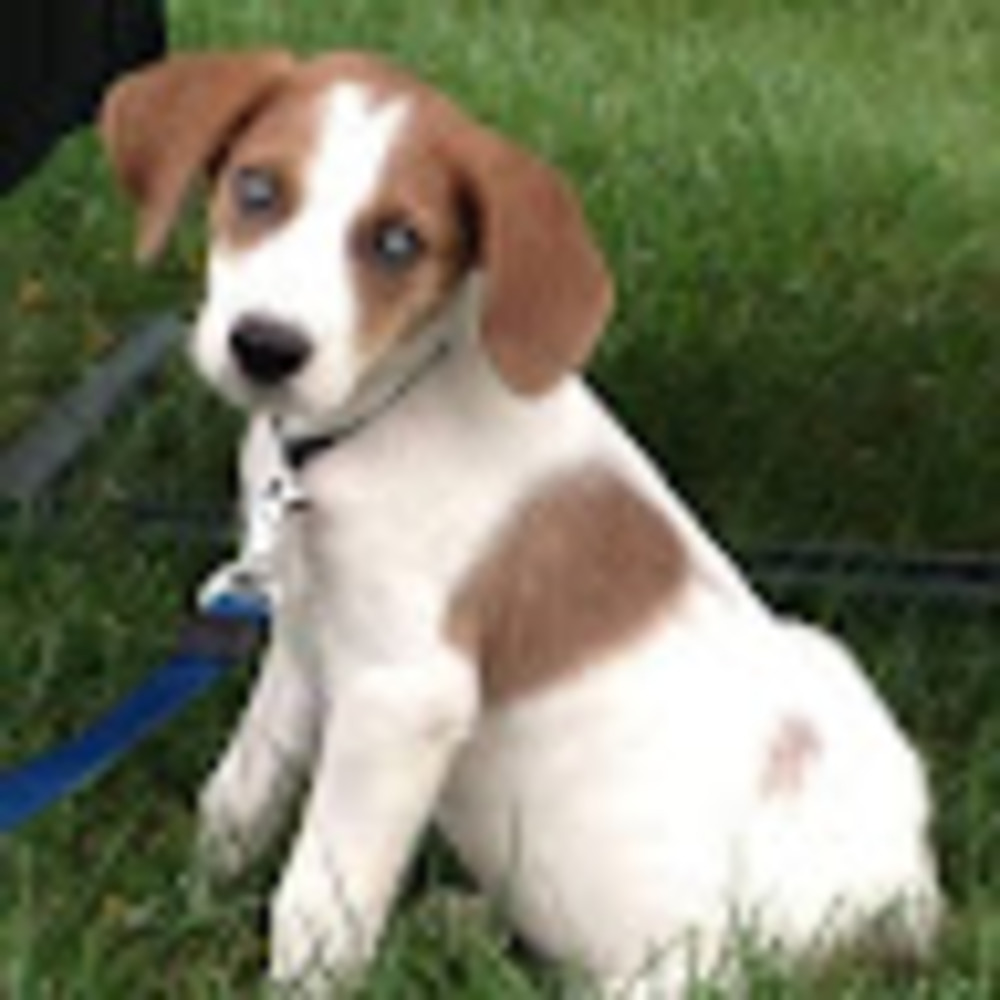 Meet your Posher, Ellen